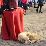 Капсулу времени 12