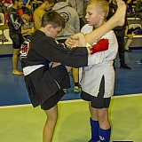 V| Международный Турнир по Смешанным Единоборствам 159