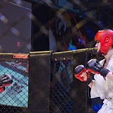 Турнир по смешанным единоборствам "Непобежденный" 133