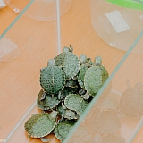 День города  - 2019 24