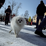 Масленица 2020 55