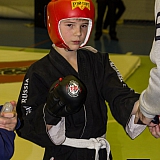 V| Международный Турнир по Смешанным Единоборствам 33