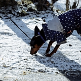 Масленица 2020 56