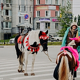 День города  - 2019 10