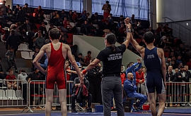 Кубок России по греко-римской борьбе