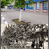 Город Бор 19