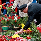 День Победы 2011 84