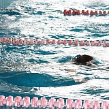 Весенний марафон - 2013! 50