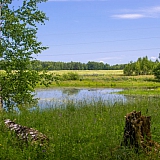 Красоты Борского Края!!! 11