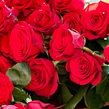 День молодёжи 99