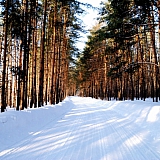 Март на Бору! 20