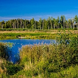 Красоты Борского Края!!! 52