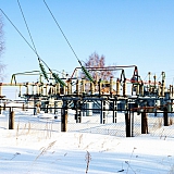 Март на Бору! 35