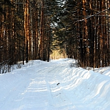 Март на Бору! 15