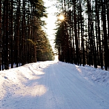 Март на Бору! 28