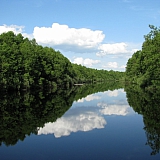 Красоты Борского Края!!! 63