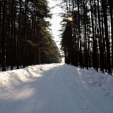 Март на Бору! 29