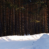 Март на Бору! 19