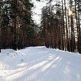 Март на Бору! 22