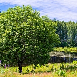 Красоты Борского Края!!! 16