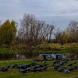 Красоты Борского Края!!! 59