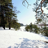 Март на Бору! 47