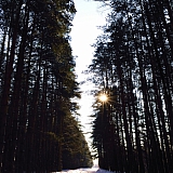 Март на Бору! 30