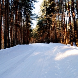 Март на Бору! 32