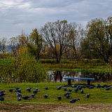 Красоты Борского Края!!! 58