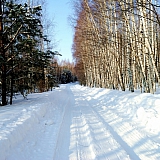 Март на Бору! 10