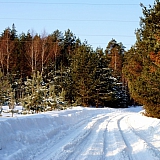 Март на Бору! 11