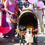 День семьи, любви и верности 94