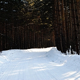 Март на Бору! 18