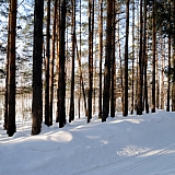 Март на Бору! 27