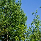 Красоты Борского Края!!! 25