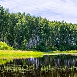 Красоты Борского Края!!! 17