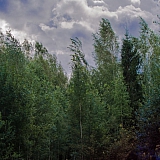 Красоты Борского Края!!! 38