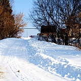 Март на Бору! 33