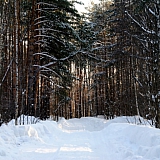 Март на Бору! 13