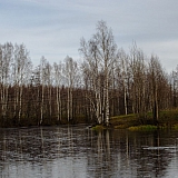 Красоты Борского Края!!! 61