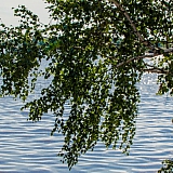 Красоты Борского Края!!! 37