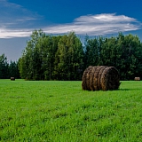 Красоты Борского Края!!! 51