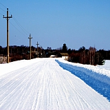 Март на Бору! 45