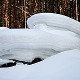 Март на Бору! 12