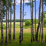 Красоты Борского Края!!! 10