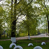 Наши любимые улицы! 61