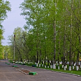 Наши любимые улицы! 50