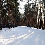 Март на Бору! 21