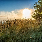 День в лесу! 12