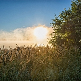 День в лесу! 13